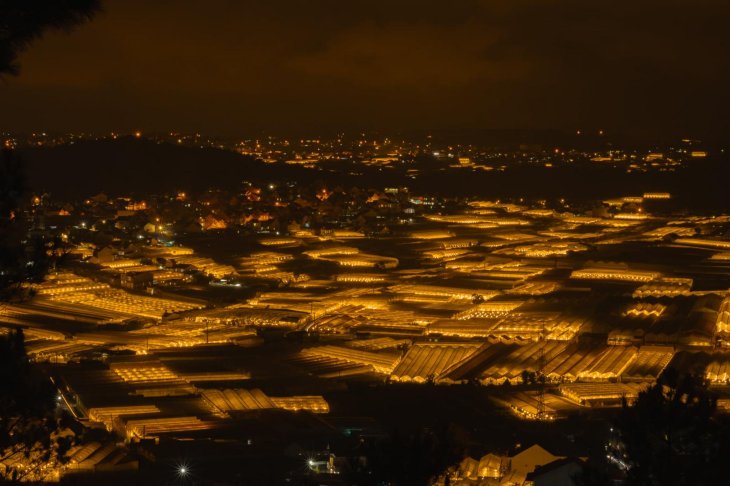 206788255 523213012156479 3527274579726123725 N