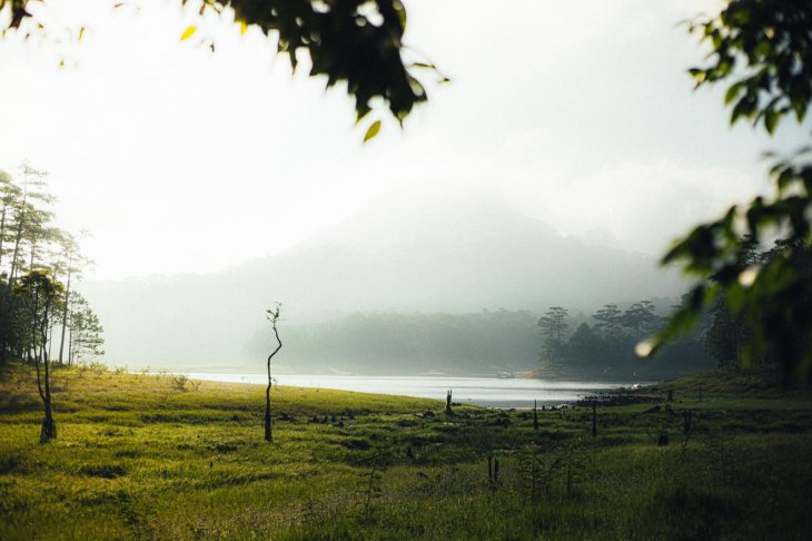 217605272 525107355300378 7713399636122311415 N