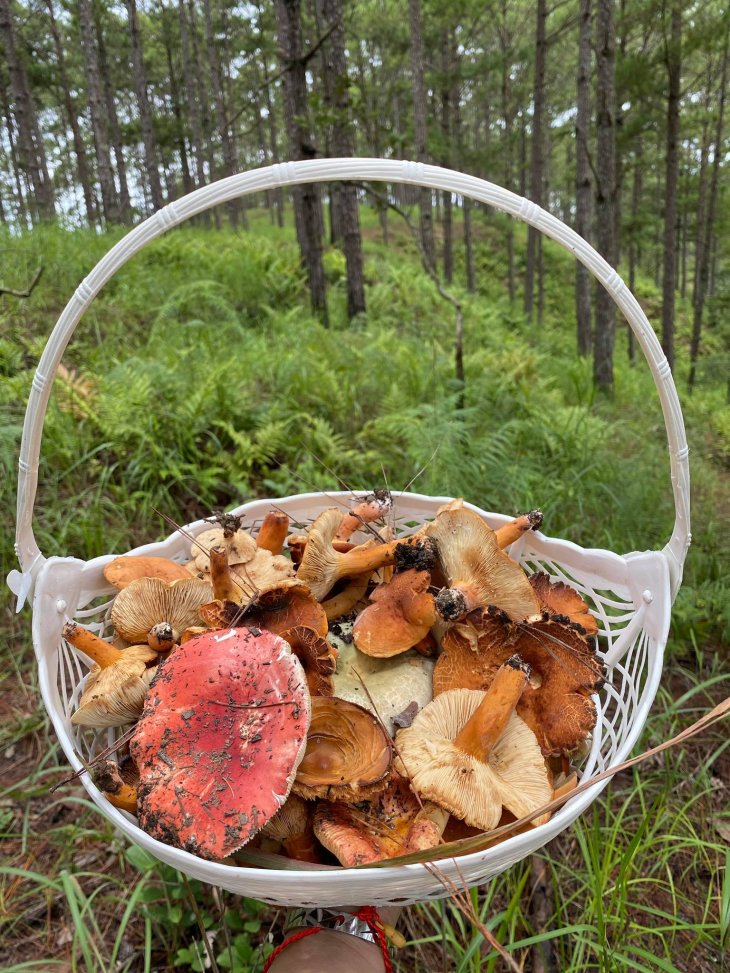 218224497 998052871028050 4984951464692558994 N