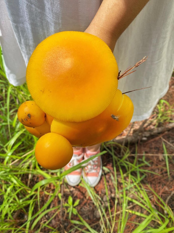 221134712 1172350659931172 6921398897203056510 N