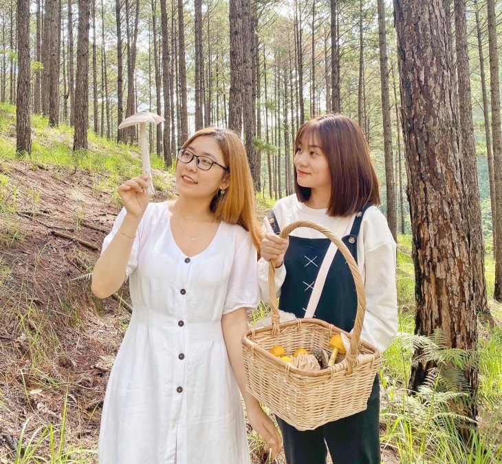 221920394 4286144604815289 5993435458912833199 N