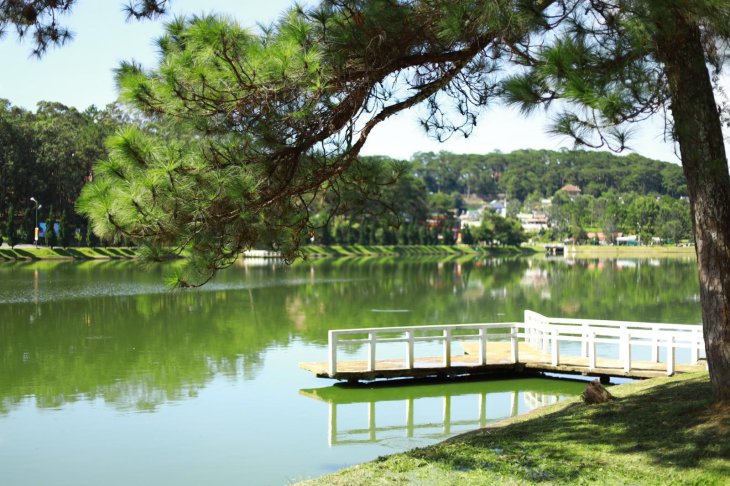 Z2646780458493 0db8ce38e7474854c908ee6ad3efb538