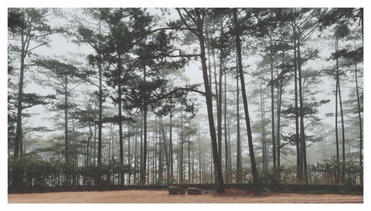 215846960 2095199647284728 4321739382830229986 N