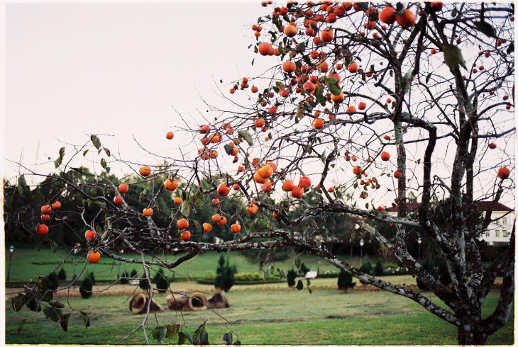 221552303 10215819061668479 4522934810291865950 N