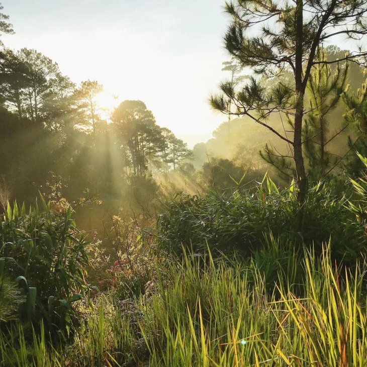 222579620 538354237513254 7532040123574285248 N