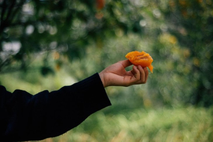 224742826 2514694912008904 6863050786874258773 N