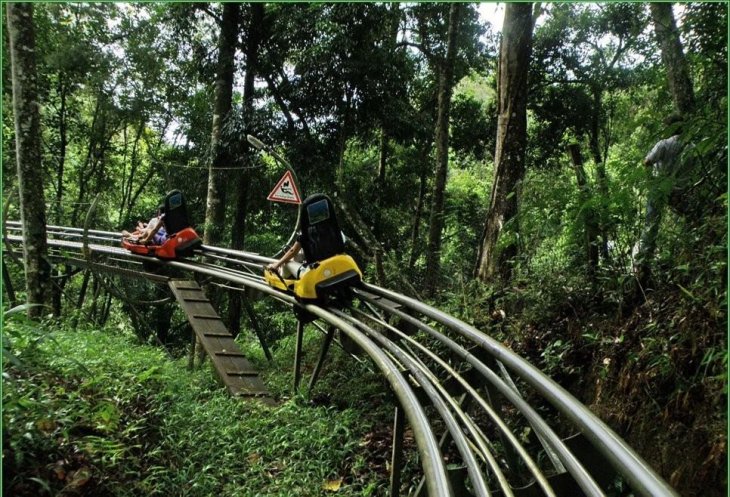 78696141 1644912175649034 6740098933596356608 N