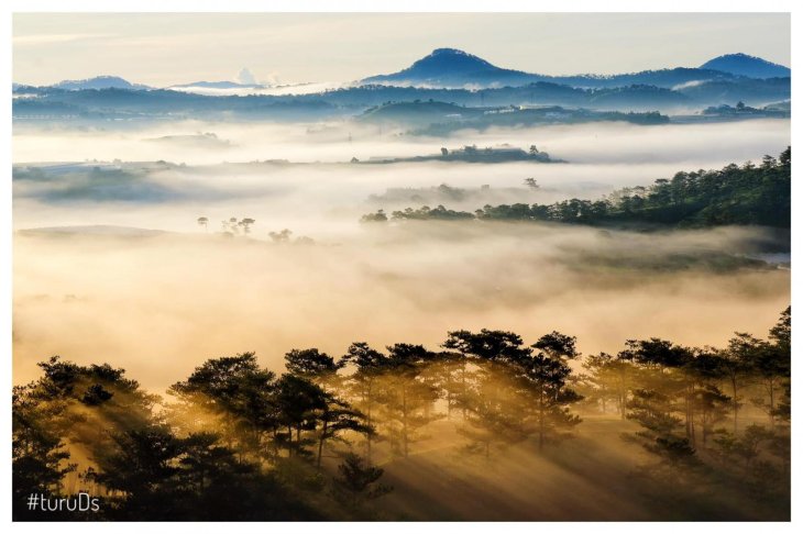 212545611 536257494389595 5264889330512054478 N