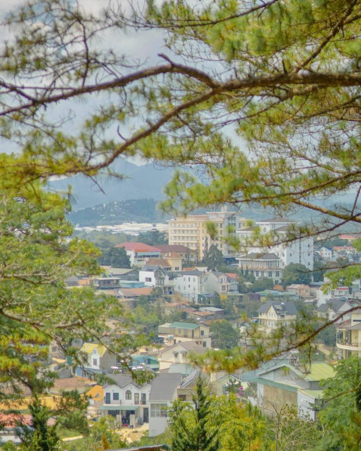 224217042 2648220588812252 1169790783753122825 N