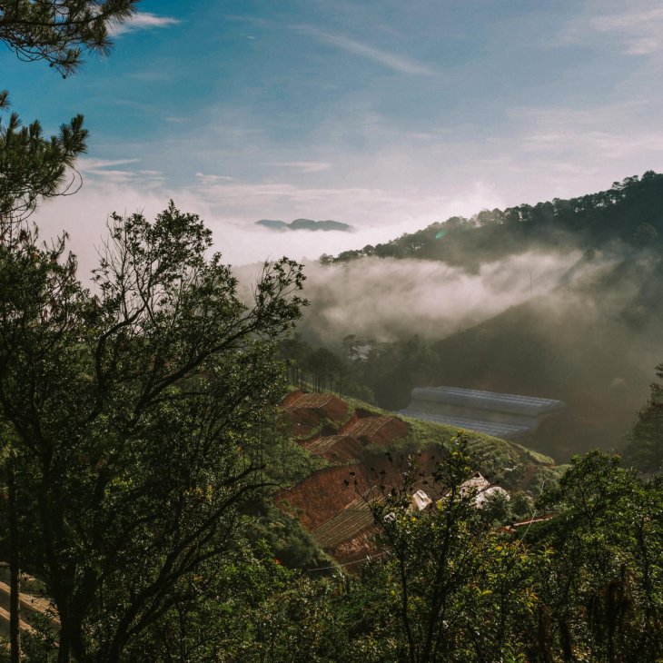 228119446 2225182330951685 1089011513487999133 N