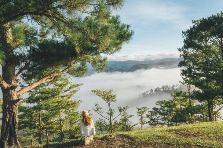 186193538 3891478670965026 2126317150611685847 N