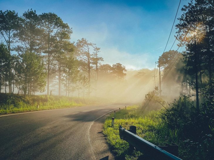 195997944 953432742159437 192569126420413198 N