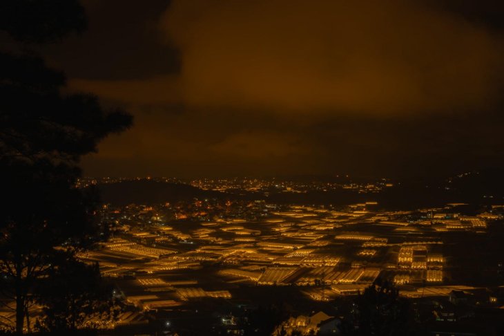 205956118 523212978823149 719982426385939759 N