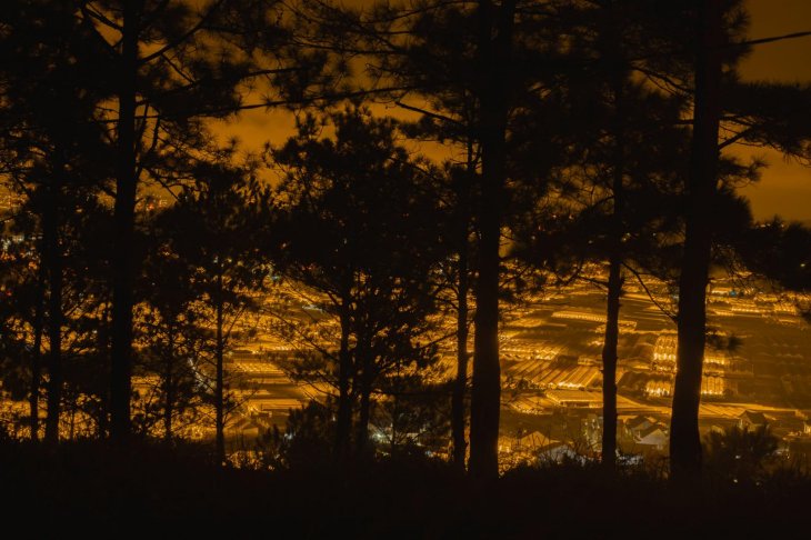 209366870 523213118823135 2237134386764336570 N