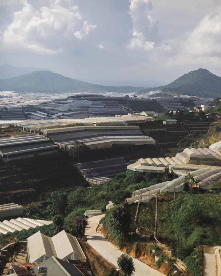 218218526 2643578435943134 1550994736074649893 N