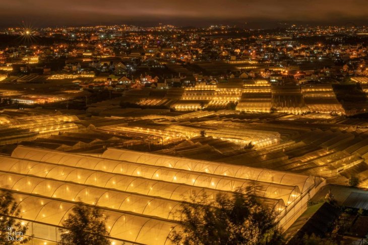 220886867 5857951027580524 8934949324027185668 N