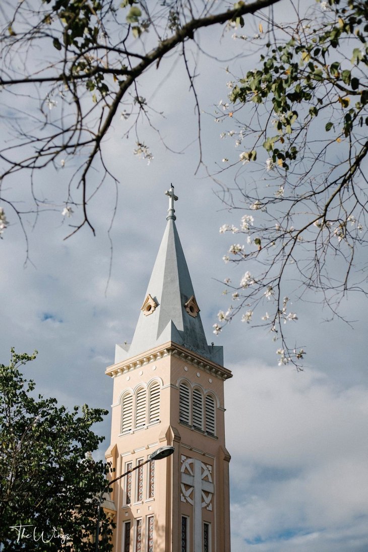 231886546 1206135703228803 5062476359183614831 N