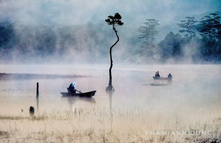 83261583 593417121579298 1795975905857346194 N