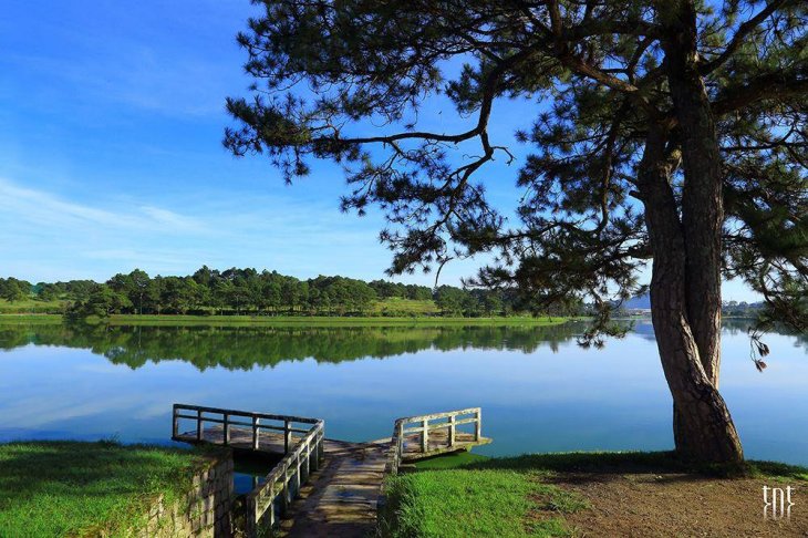 14560186 1776899535909456 4696646249088351623 O