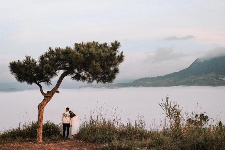 121808997 799391794230200 1322621823618810780 N