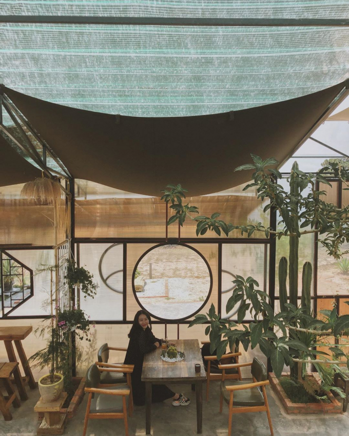 89272224 843750202767748 7850516335164322492 N 234