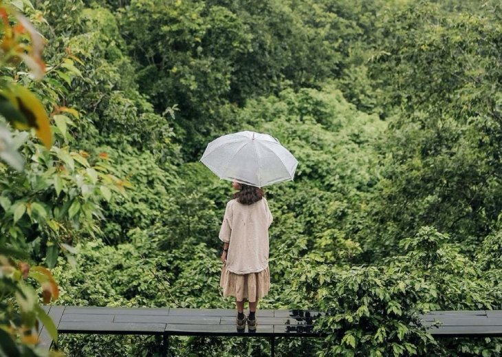 238812292 1969826023173590 8385553709575106956 N