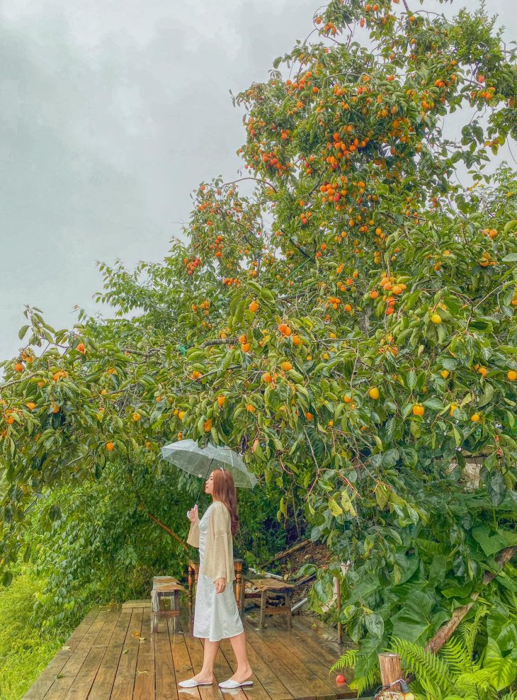 119921468 3616123915073030 1019646987361794991 N