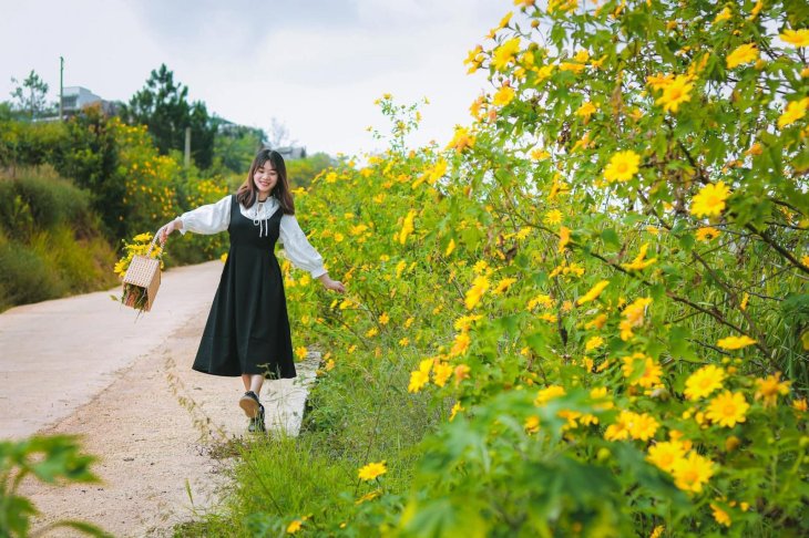 126617088 1500765003455246 2529639803976022382 N