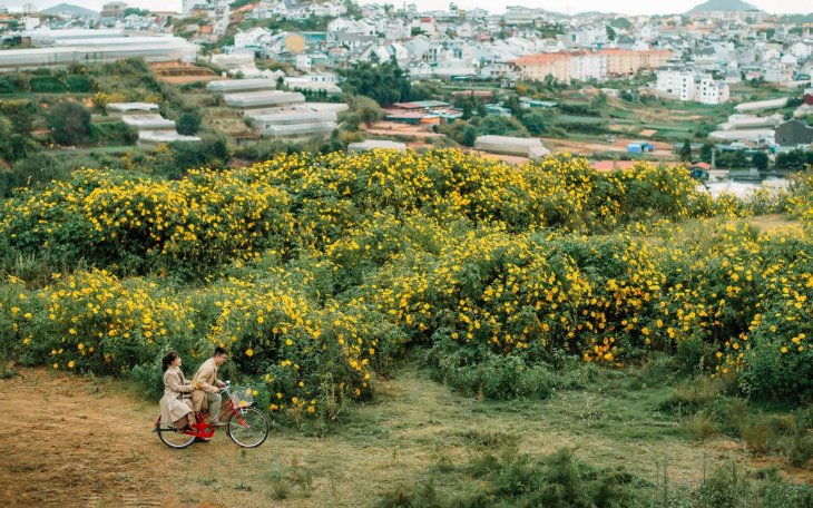 127859285 2241044756039382 8879720694317680112 N