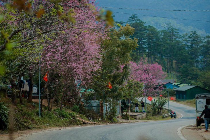 140018460 425066475304467 5030465264212895466 N