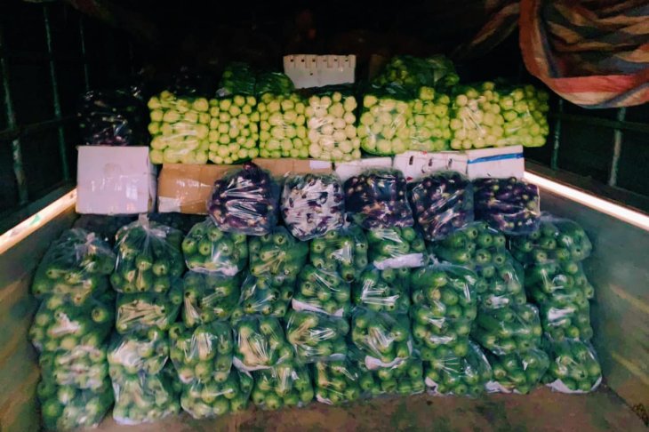 198515299 4653787297982473 5391101506951994687 N