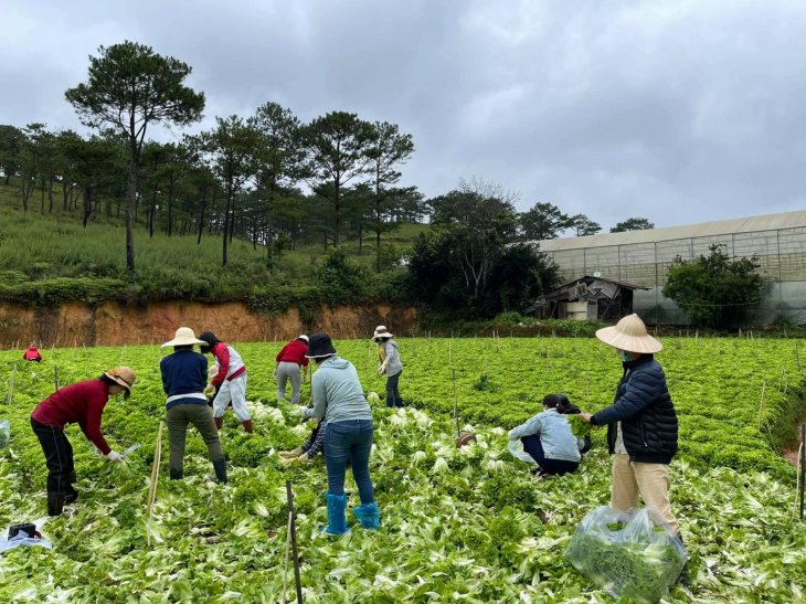 203668165 527435858544340 772560379720722354 N