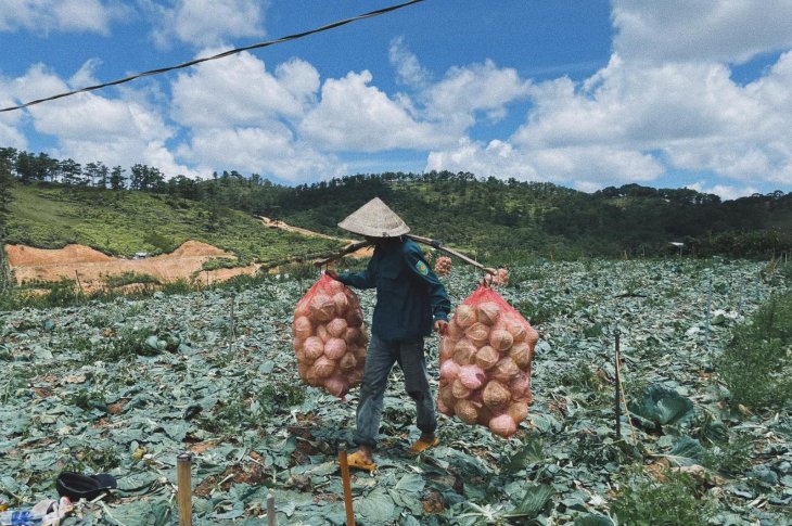 205712527 4636231653071371 1398743062705328363 N