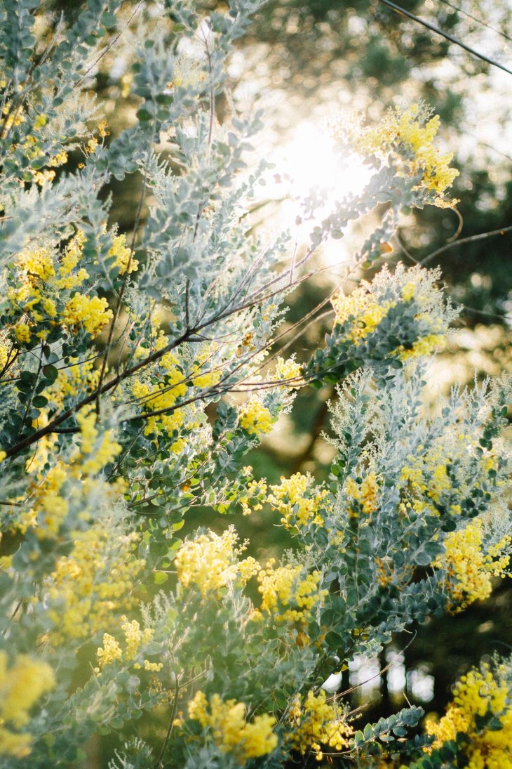 236991645 544523290025451 1796360425928115118 N