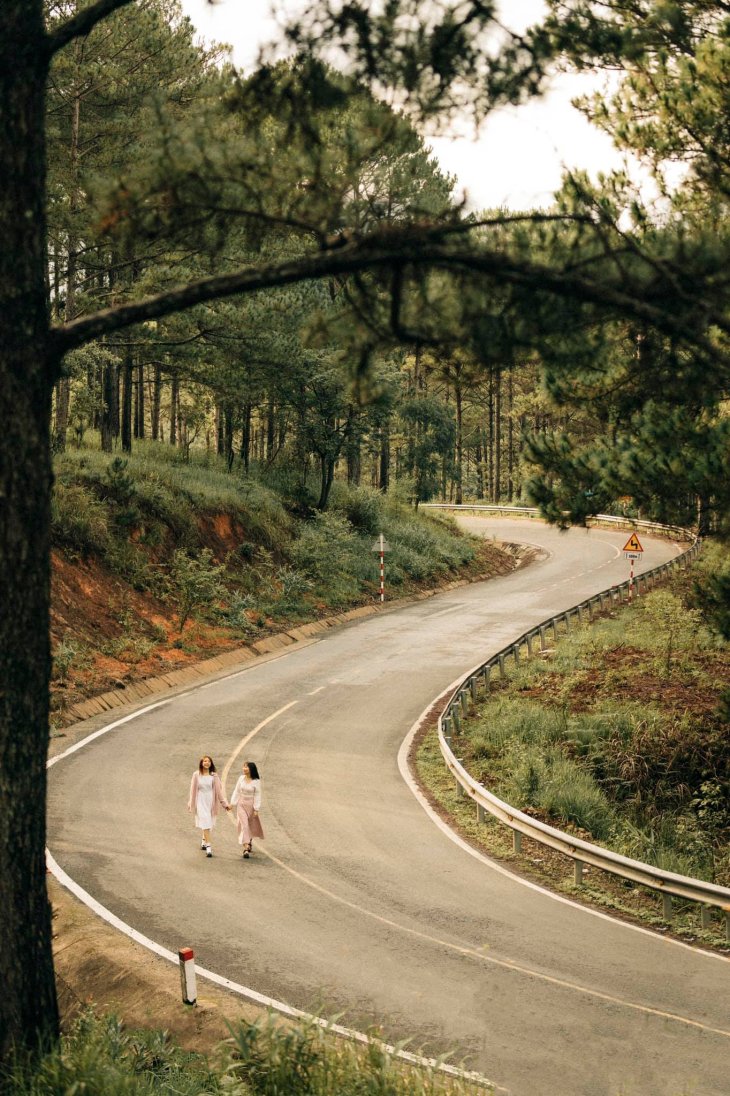 187666220 936182397217805 204764788737266049 N