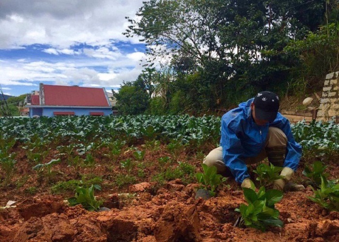 2016eaf9da1e 1e7a 4b70 886a 845f184e8ea8