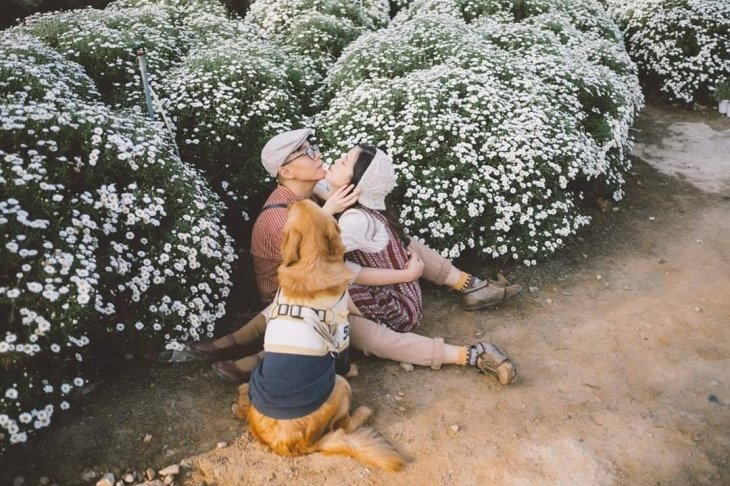 89353608 2764582803637243 707754213165236224 N