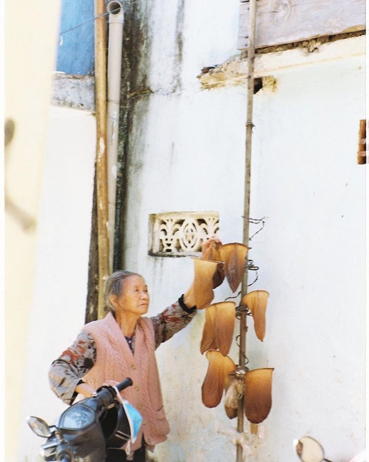 82276531 484329562518034 1690699542185124025 N