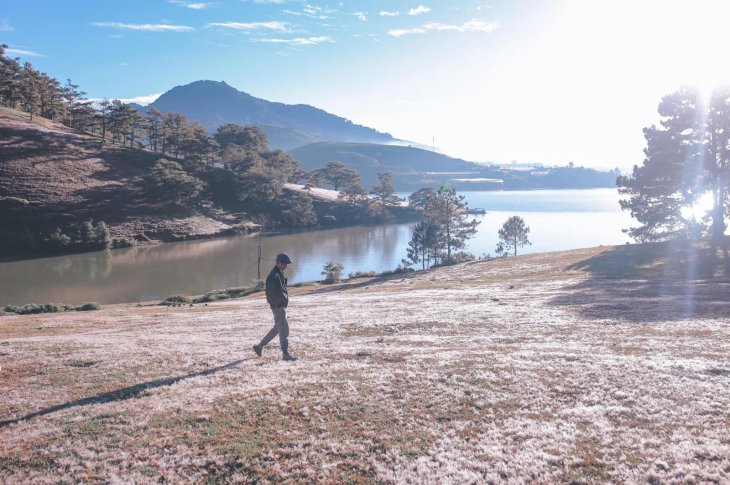 125869231 2482557495381667 8590520891501918158 N