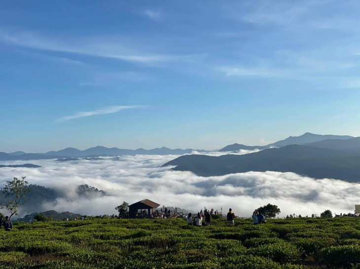 178390495 2591308047839944 874046622077768246 N