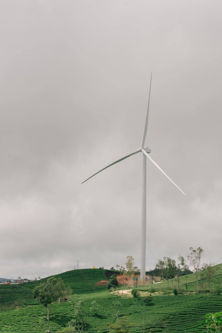 242819873 913396759384008 6999508728184801848 N