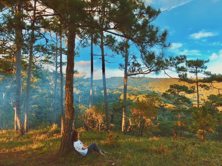 18888445 1573263672686451 8204637869059342336 N