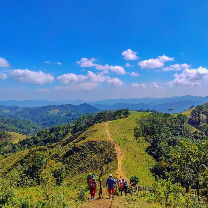 74576237 779140935864159 7720253533084621164 N