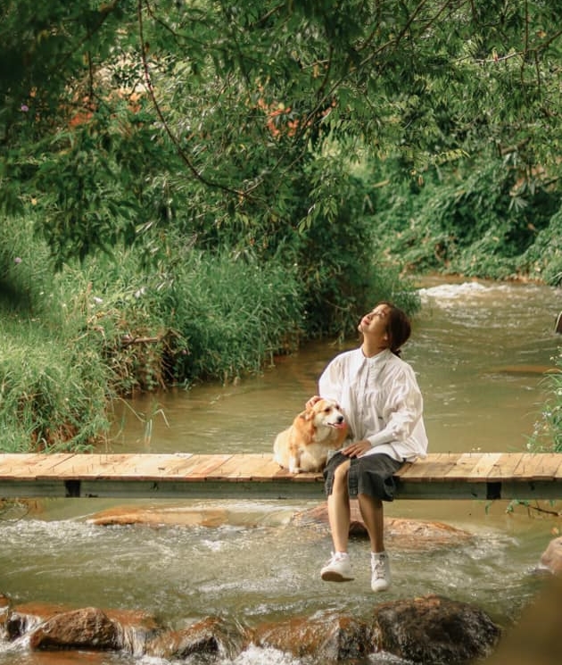 243689717 4866073880077506 5678003920913511848 N