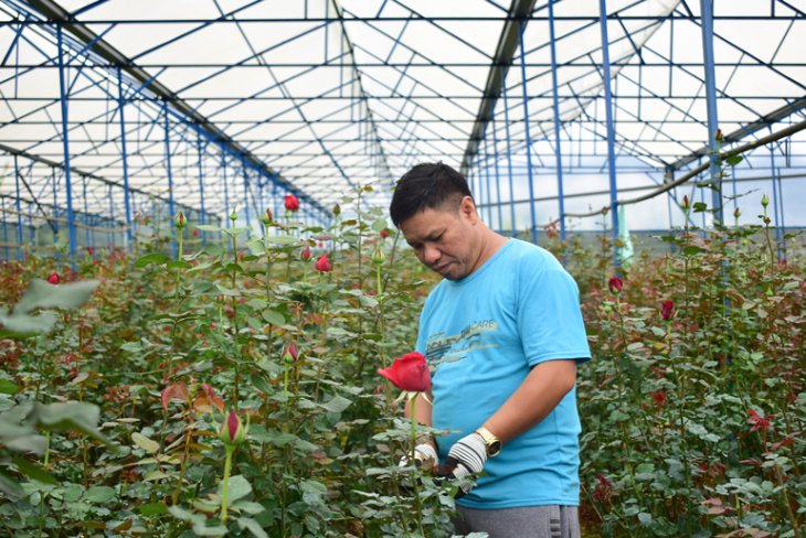 Images2407460 Anh2 01