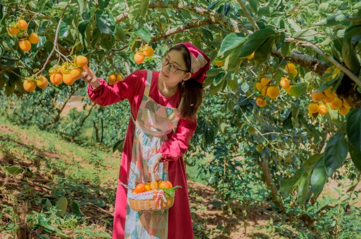 244111019 4280052672107622 5177568410407641901 N