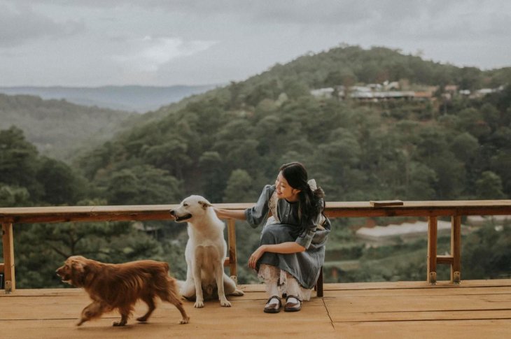 245945342 1033117124190998 7798862638500207267 N