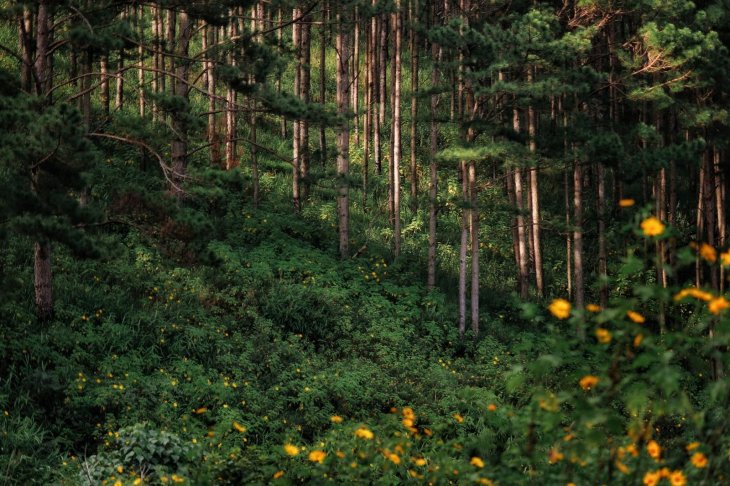 247404921 409414340770263 8829788717781373279 N