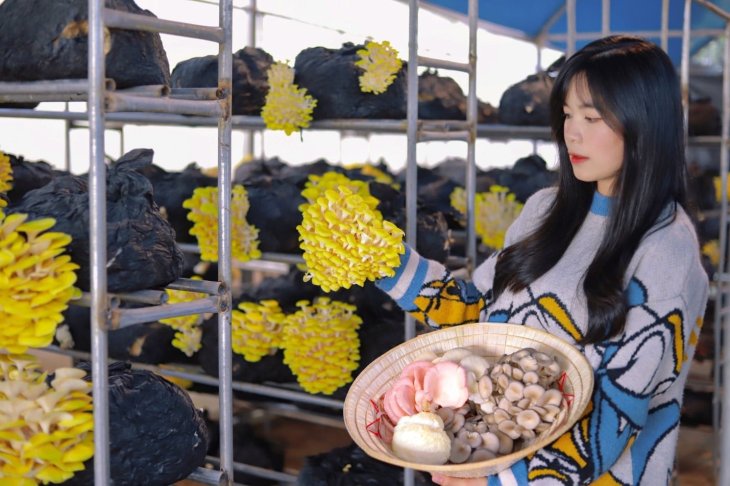 244385770 610435480317444 9065831354697245150 N