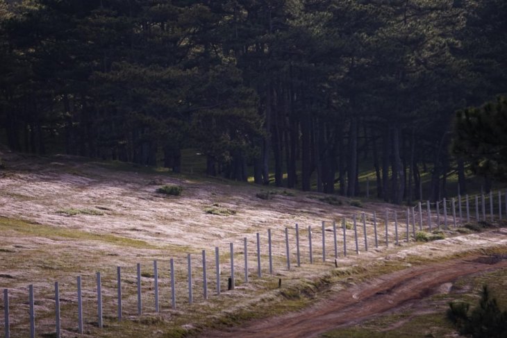 245760085 4259443040851615 2437123539540721524 N